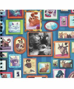 album de fotos para gatos